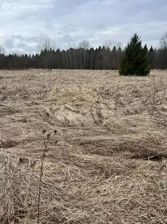 Участок в деревня Марфино, деревня Шаньково (10 м) - Фото 0