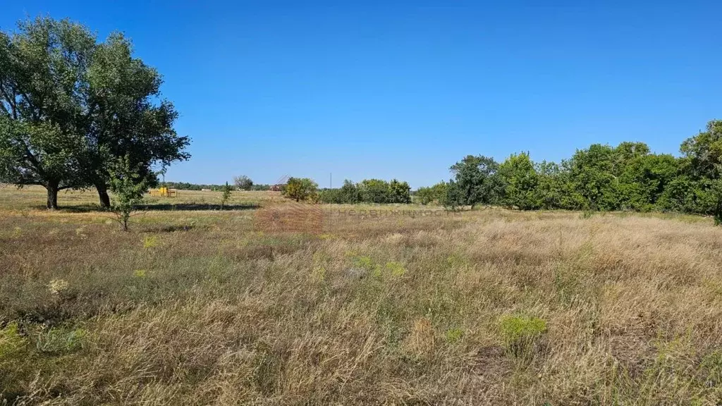 Участок в Волгоградская область, Городищенский район, Вертячинское ... - Фото 1