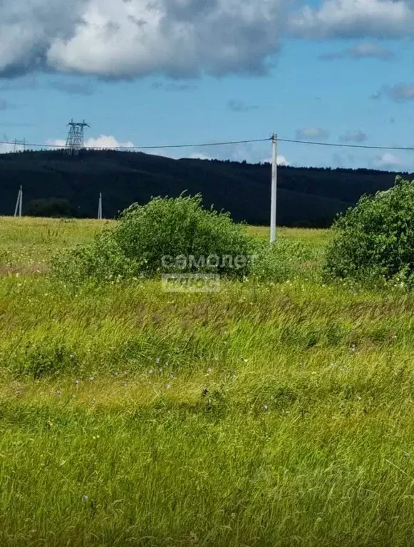Участок в Татарстан, Мамадышский район, Сокольское с/пос, пос. Новый ... - Фото 2