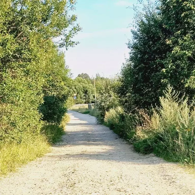 Участок в Калужская область, Жуковский район, Чубарово с/пос, д. ... - Фото 1