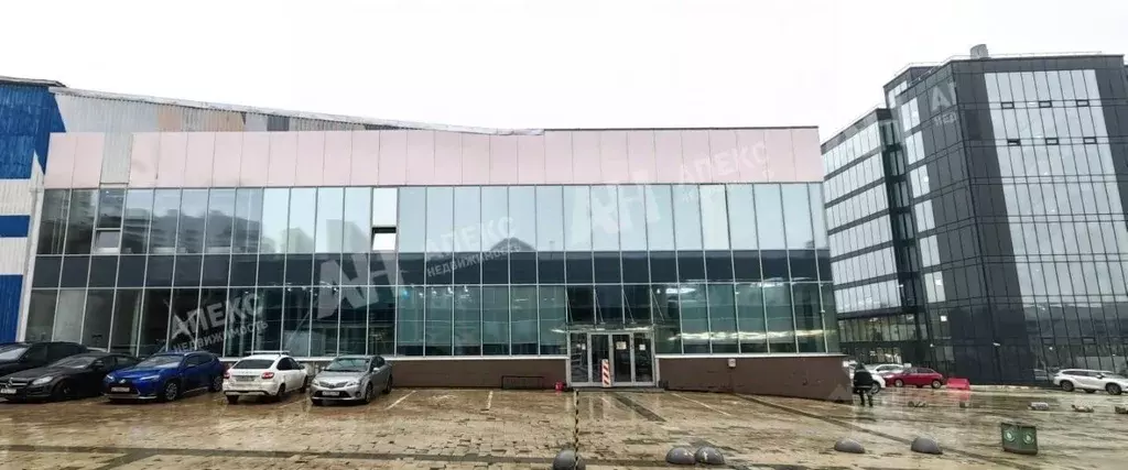 Помещение свободного назначения в Московская область, Одинцовский ... - Фото 2