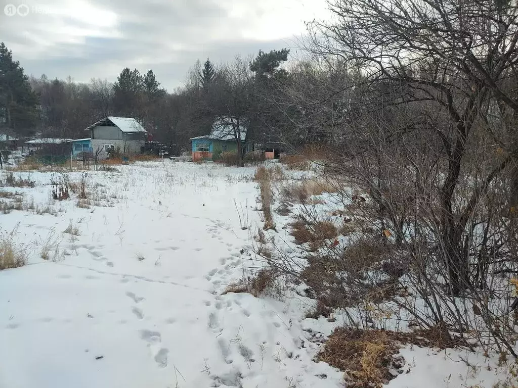 Участок в Амурская область, Благовещенск (10.8 м) - Фото 1