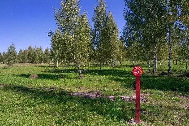 Участок в Тульская область, Заокский район, Демидовское муниципальное ... - Фото 2