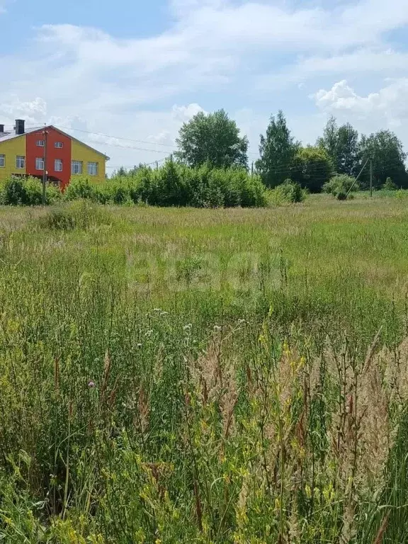 Участок в Мордовия, пос. Ромоданово пер. Филатова (1500.0 сот.) - Фото 0