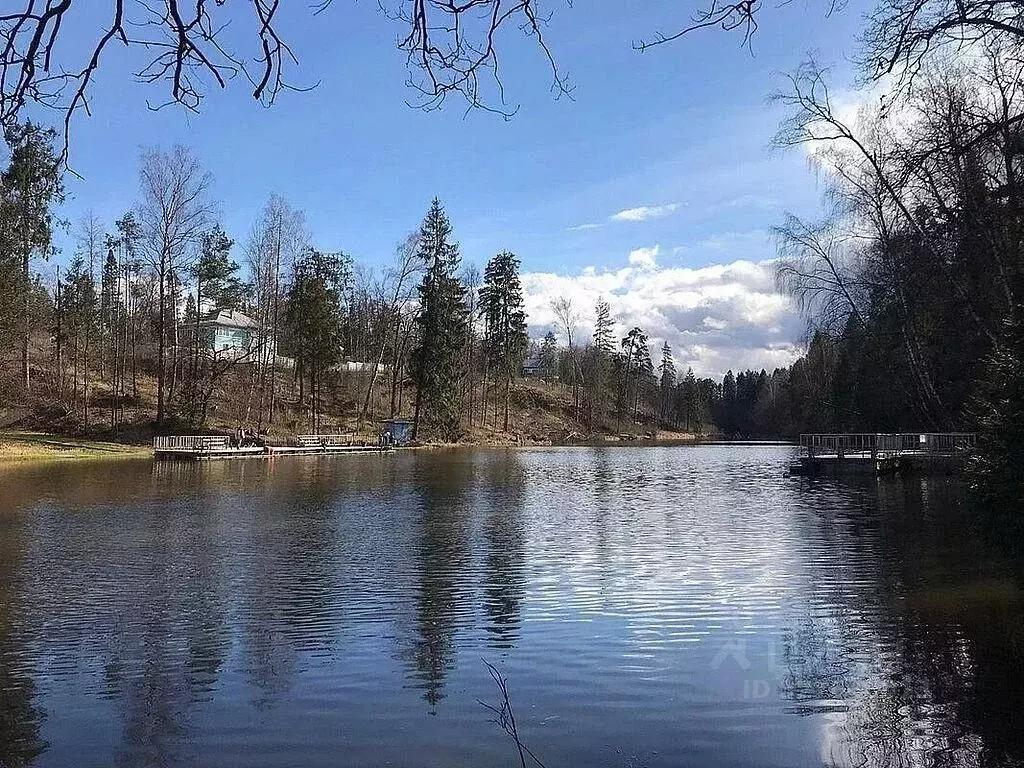 Участок в Московская область, Одинцовский городской округ, пос. дома ... - Фото 2