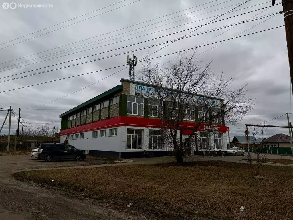 Помещение свободного назначения (1003 м) - Фото 2
