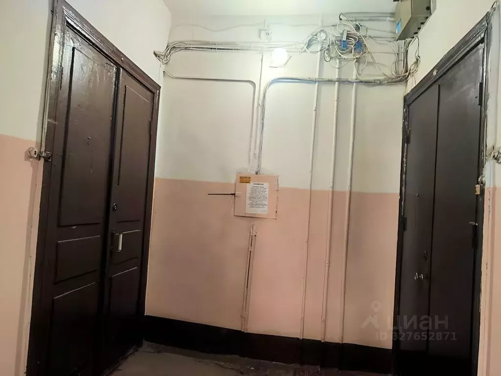 Комната Санкт-Петербург Псковская ул., 36 (46.7 м) - Фото 2