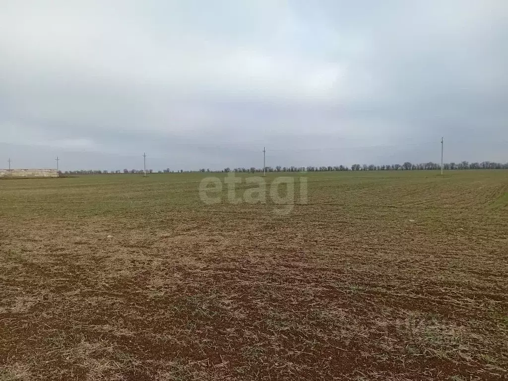 Участок в Крым, Сакский район, с. Воробьево  (200.0 сот.) - Фото 1