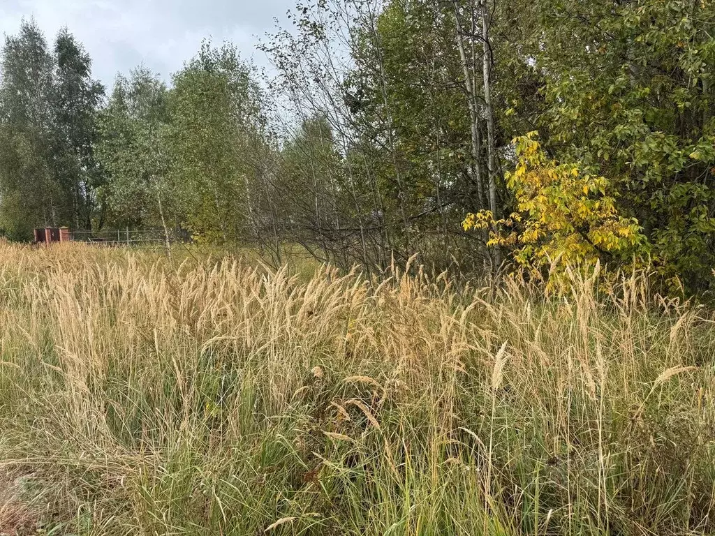 Участок в Московская область, Богородский городской округ, д. Новое ... - Фото 2