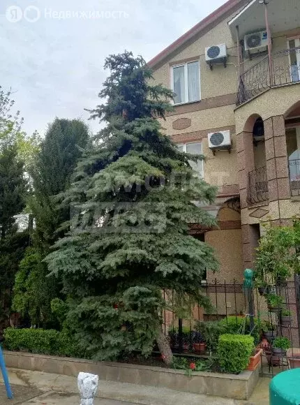 Квартира-студия: Николаевка, Чудесная улица, 8 (20 м) - Фото 1
