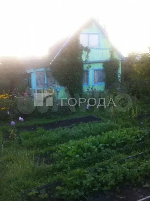 Участок 4 сот. (СНТ, ДНП) - Фото 0