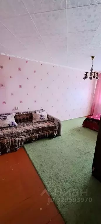 3-к кв. Иркутская область, Усть-Илимск ул. Наймушина, 6 (54.0 м) - Фото 1