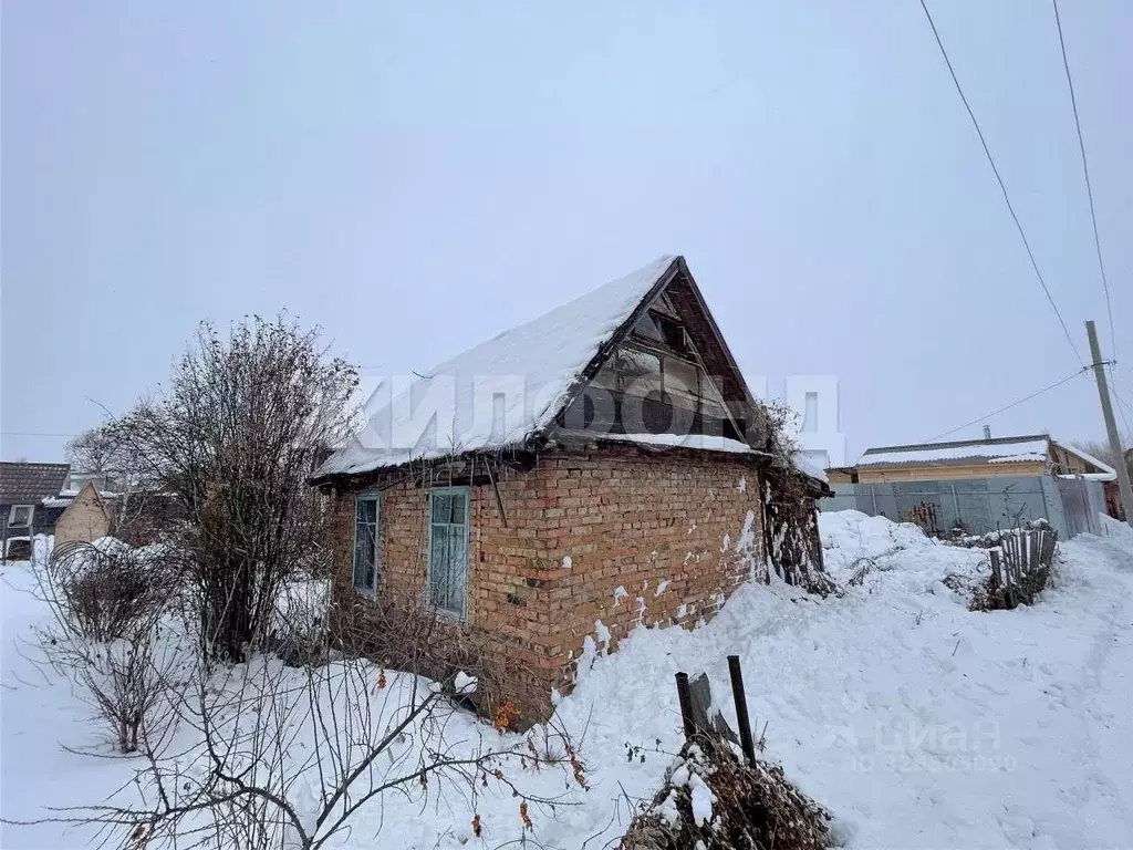 Участок в Новосибирская область, Новосибирск Зеленая долина садовое ... - Фото 1