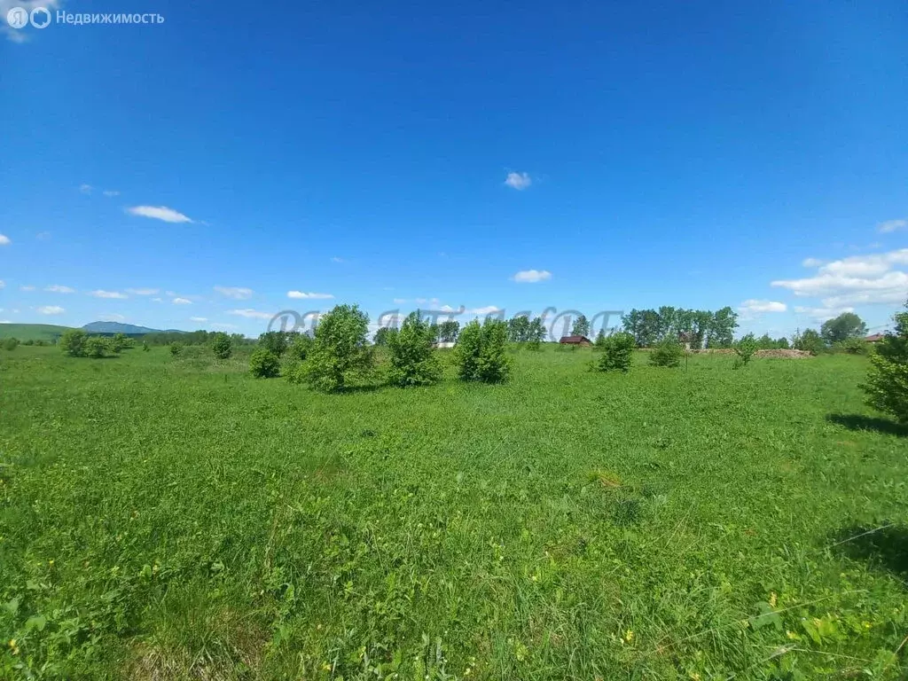 Участок в Майминский район, село Подгорное, улица Прибрежная, 48 (11.8 ... - Фото 1