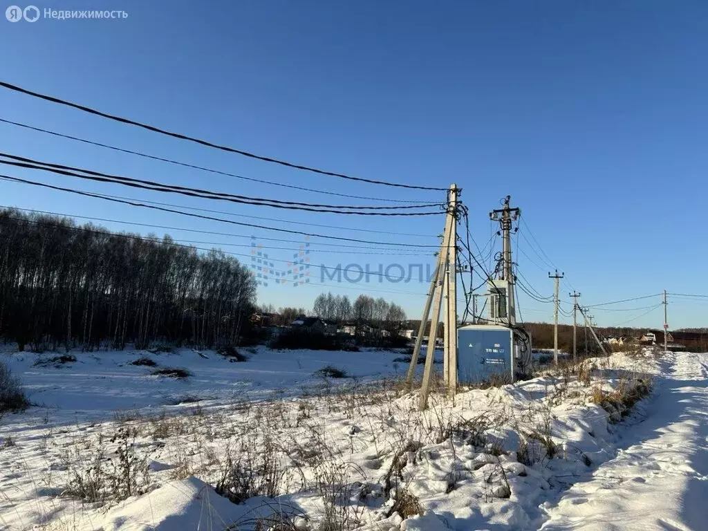 Участок в Нижегородская область, Кстовский муниципальный округ, село ... - Фото 1