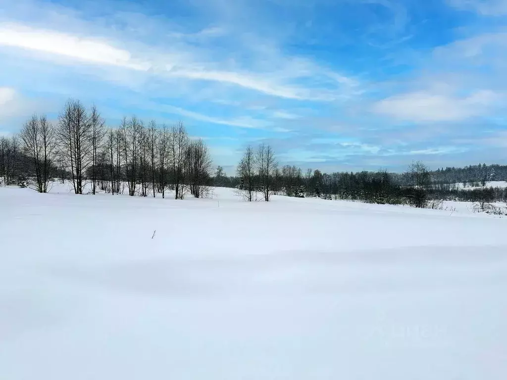 Участок в Московская область, Дмитровский муниципальный округ, Сбоево ... - Фото 1