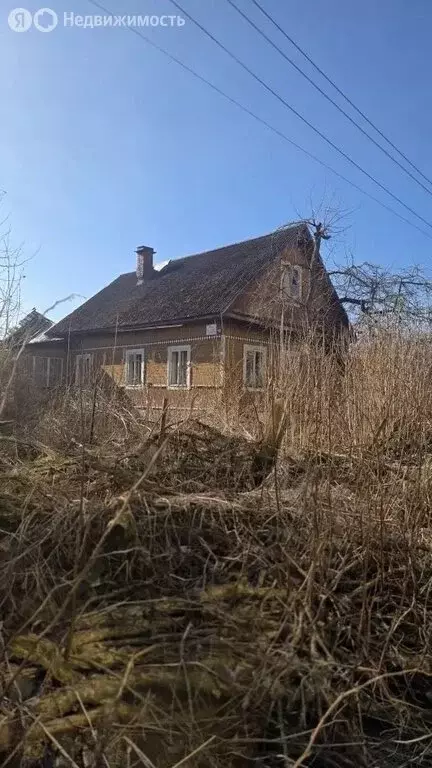 Дом в деревня Лаголово, Детская улица, 12 (51.6 м) - Фото 2