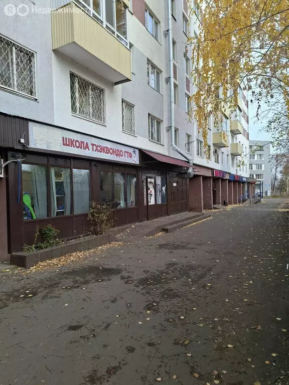 Торговая площадь (235.9 м) - Фото 1