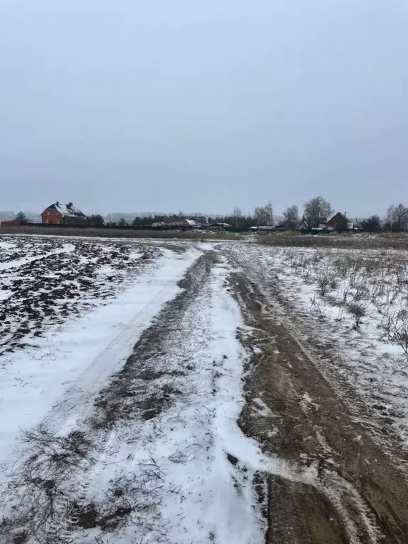 Участок в Московская область, Зарайск Зарайск городской округ, ул. ... - Фото 0