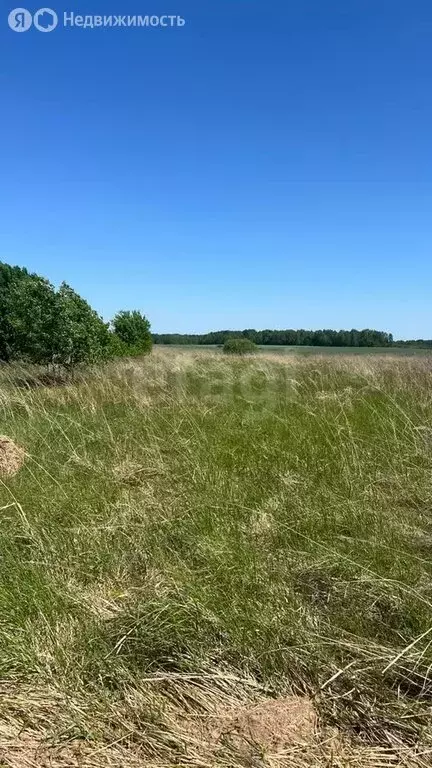 Участок в Перемышльский район, сельское поселение Хотисино, деревня ... - Фото 0