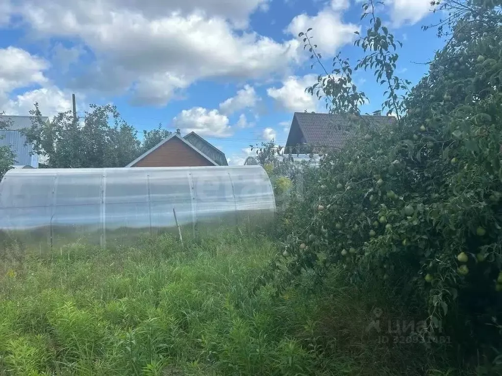 Дом в Нижегородская область, Бор Авангард СНТ, 93 (40 м) - Фото 1