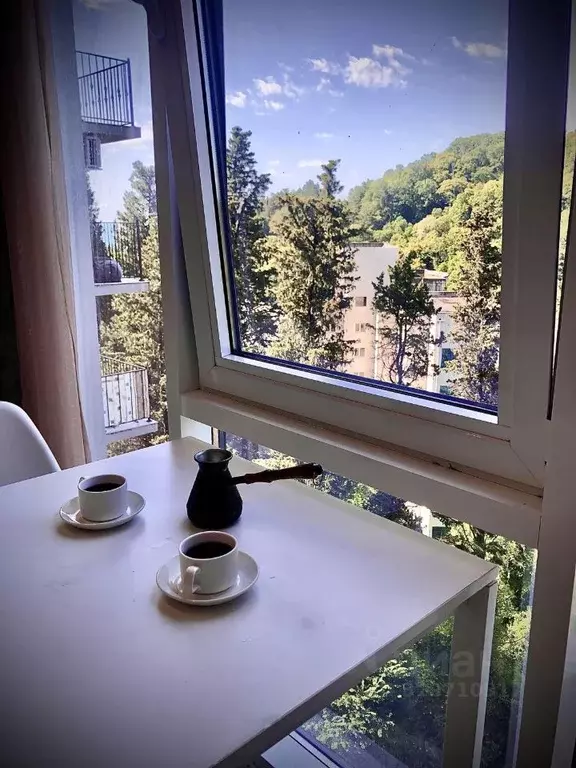 1-к кв. Краснодарский край, Сочи Хоста жилрайон, ул. Шоссейная, 3Е ... - Фото 2