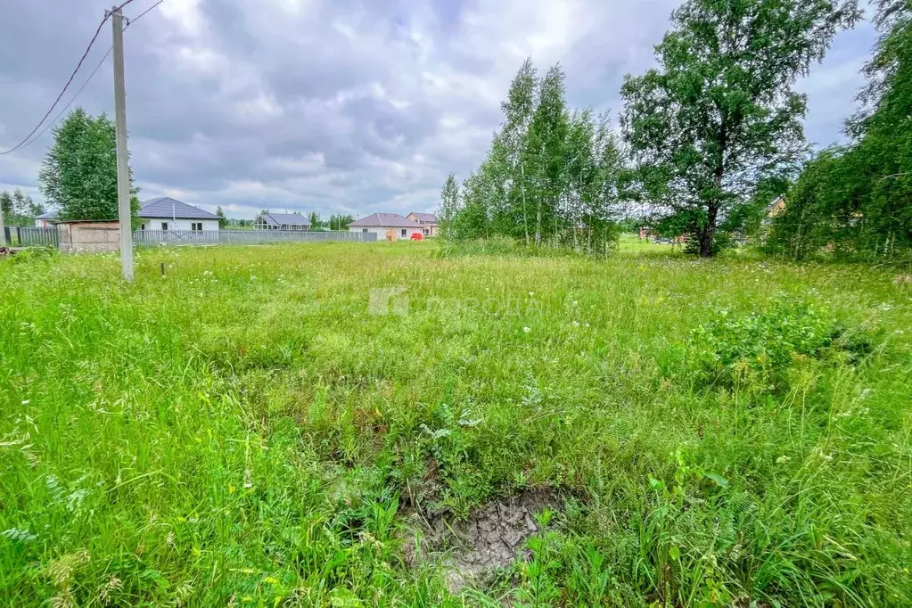 Участок в Новосибирская область, Новосибирский район, Криводановский ... - Фото 2