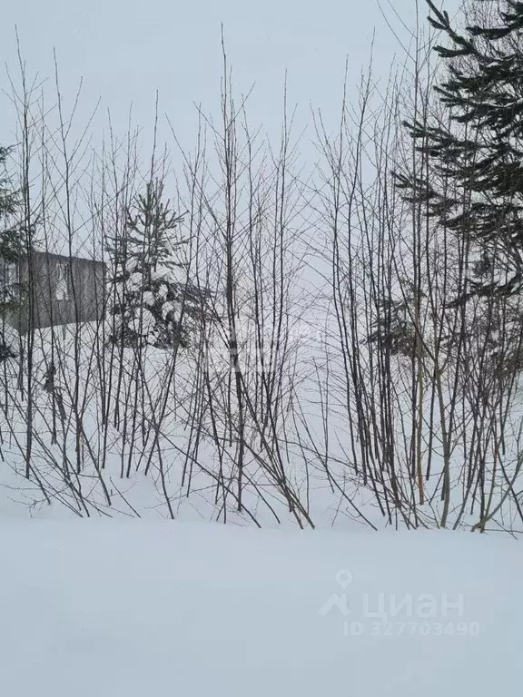 Участок в Коми, Сысольский муниципальный район, Визинга муниципальное ... - Фото 1