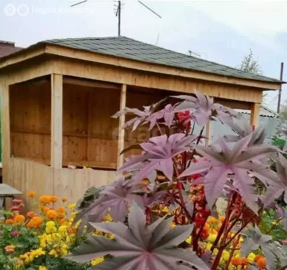 Дом в Омск, 1-я Солнечная улица (130 м) - Фото 2