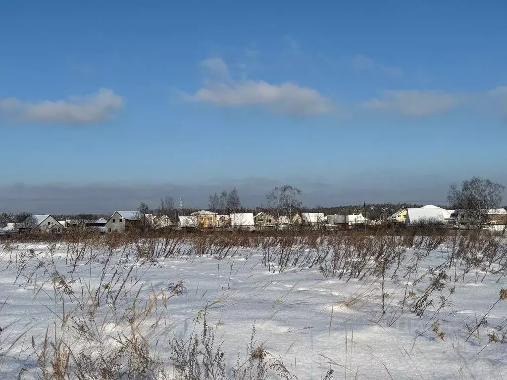 Участок в Московская область, Павлово-Посадский городской округ, д. ... - Фото 1