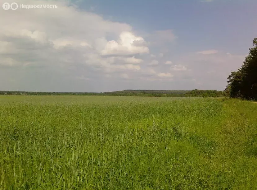 Участок в Батайск, ДНТ Весна, улица 10-й Проезд, 496 (6 м) - Фото 1