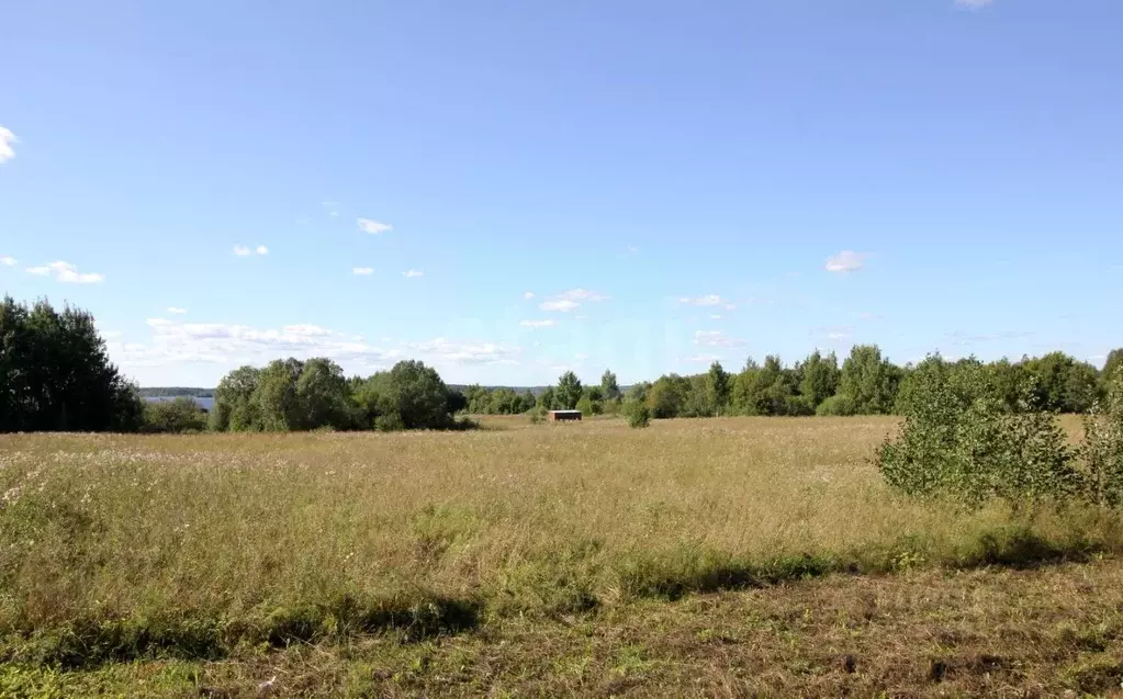 Участок в Вологодская область, Шекснинский муниципальный округ, д. ... - Фото 1