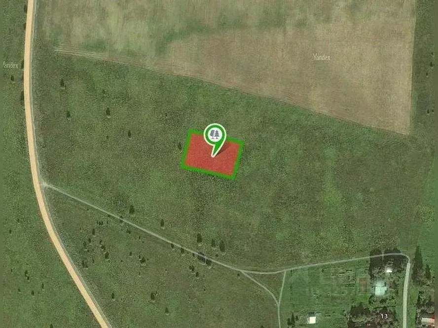 Участок в Ленинградская область, Волосовский район, Большеврудское ... - Фото 1