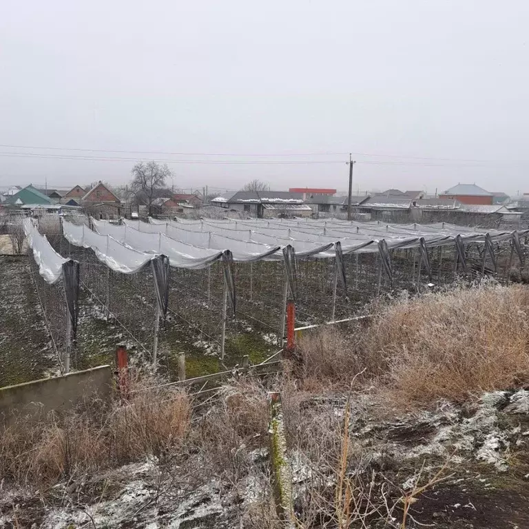 Участок в Кабардино-Балкария, Баксанский район, с. Заюково ул. ... - Фото 1