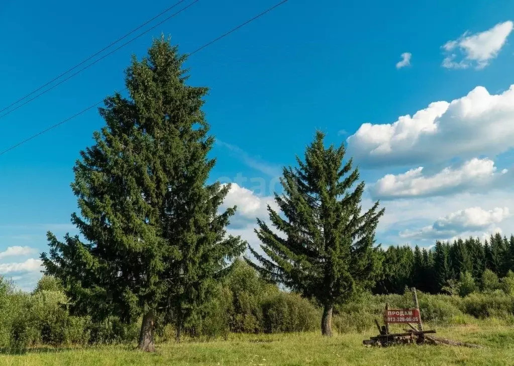 Участок в Кемеровская область, Новокузнецк ул. Болотная (30.0 сот.) - Фото 0