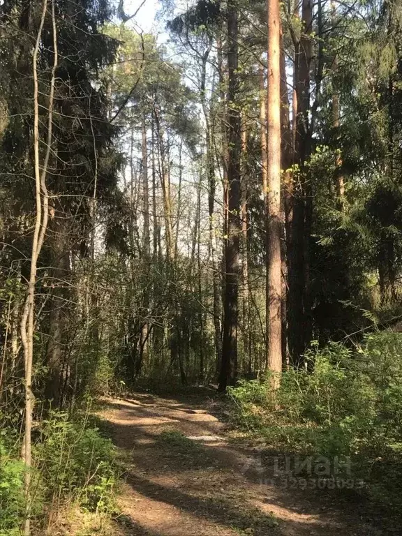 Дом в Московская область, Раменский муниципальный округ, Кратово пгт ... - Фото 1