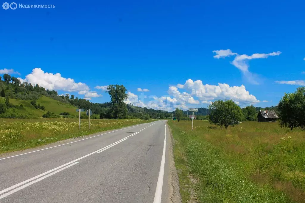 Участок в Чойский район, Паспаульское сельское поселение, село ... - Фото 0