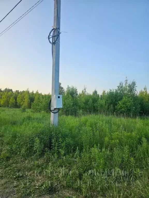 Участок в Нижегородская область, Нижний Новгород с. Елховка, ул. ... - Фото 2