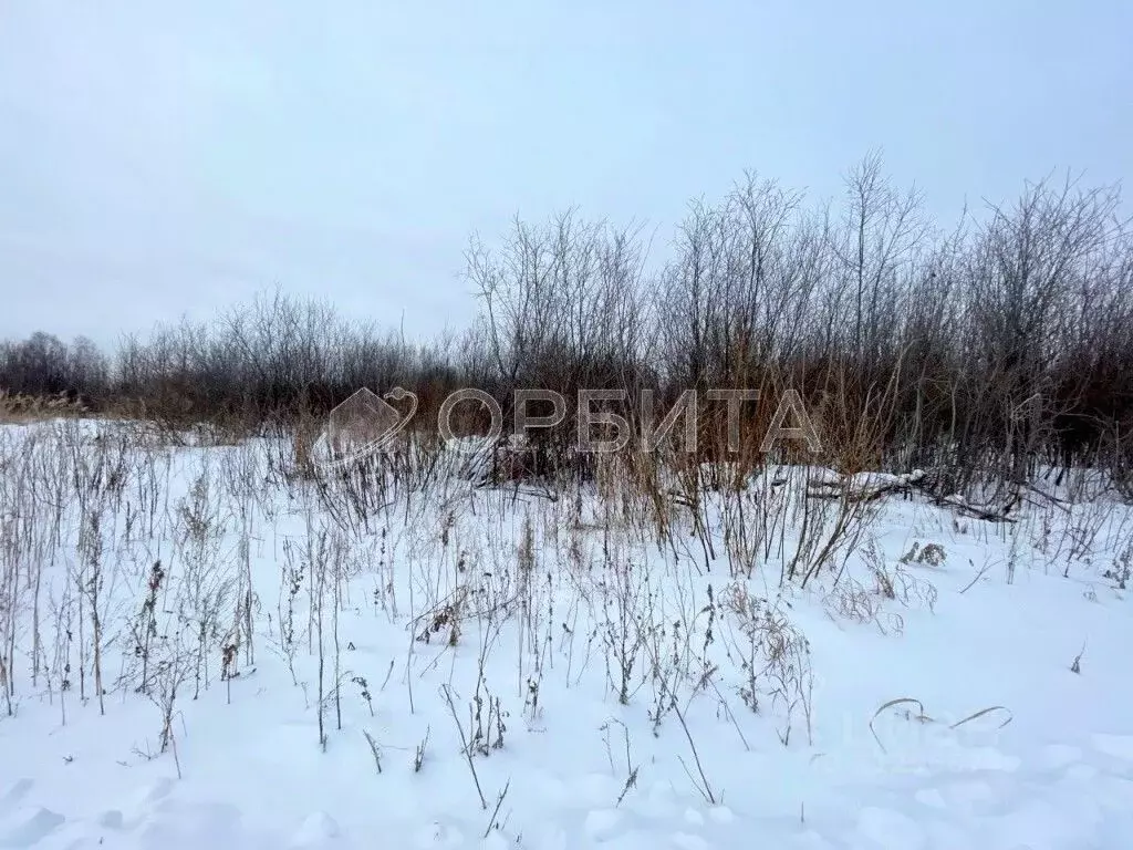 Участок в Тюменская область, Тюмень Большое Царево-1 ТСН,  (9.0 сот.) - Фото 1