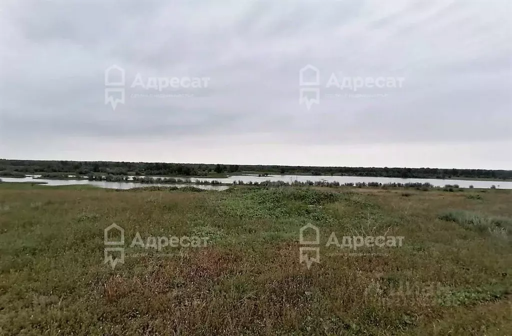 Участок в Волгоградская область, Светлоярский район, с. Райгород ... - Фото 1