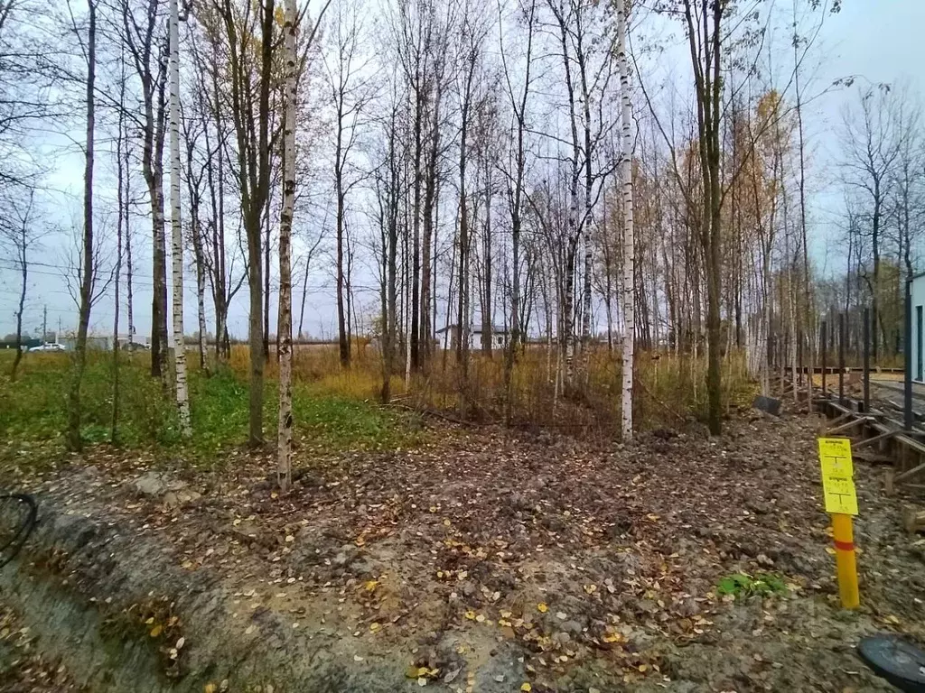 Участок в Санкт-Петербург, Санкт-Петербург, Павловск Павлов Скай кп, ... - Фото 2