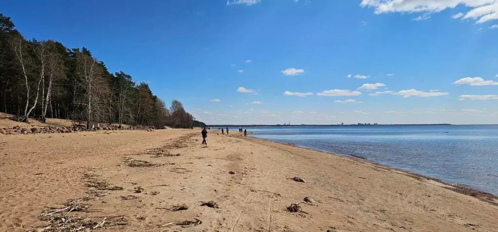 Участок в Санкт-Петербург пос. Солнечное,  (1.5 сот.) - Фото 1