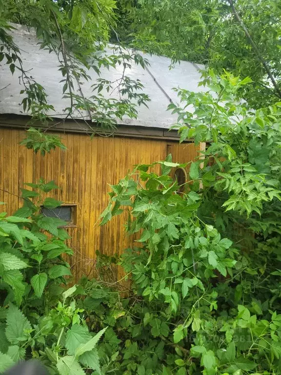 Участок в Башкортостан, Чишминский район, Алкинский сельсовет, ... - Фото 0