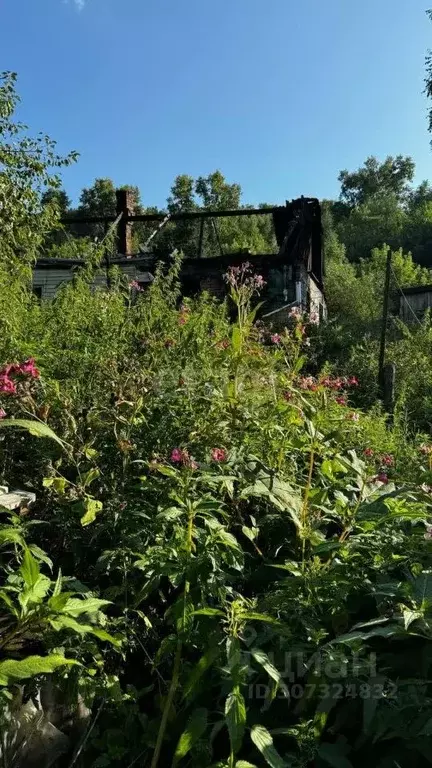 Участок в Кемеровская область, Новокузнецк ул. Мамонтова, 10 (30.0 ... - Фото 0