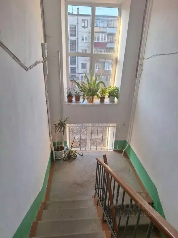 2-к кв. Оренбургская область, Орск Новый город мкр, проезд ... - Фото 2