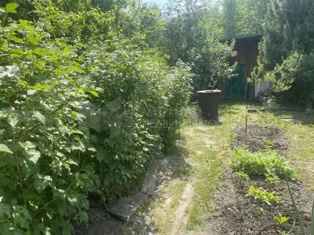 Дом в Тюменская область, Тюменский муниципальный округ, Лесник-2 СНТ ... - Фото 2