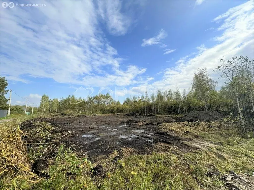 Участок в Тюменский район, СНТ Маяк (6.15 м) - Фото 1