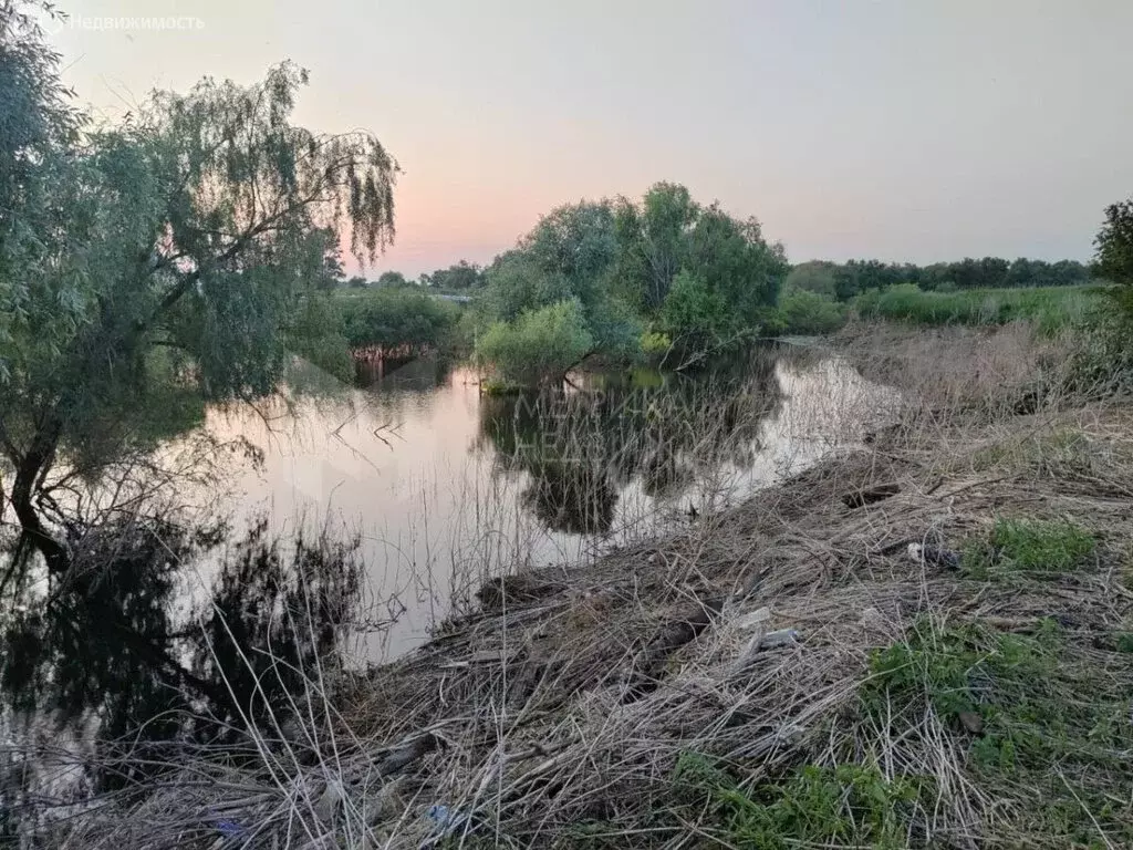 Дом в Викуловский район, село Чебаклей (45 м) - Фото 1