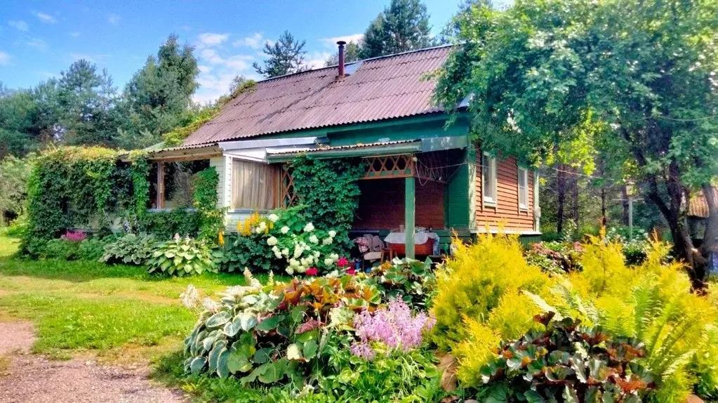 Дом в Тверская область, Оленинский район, д. Бобровка  (70 м) - Фото 1