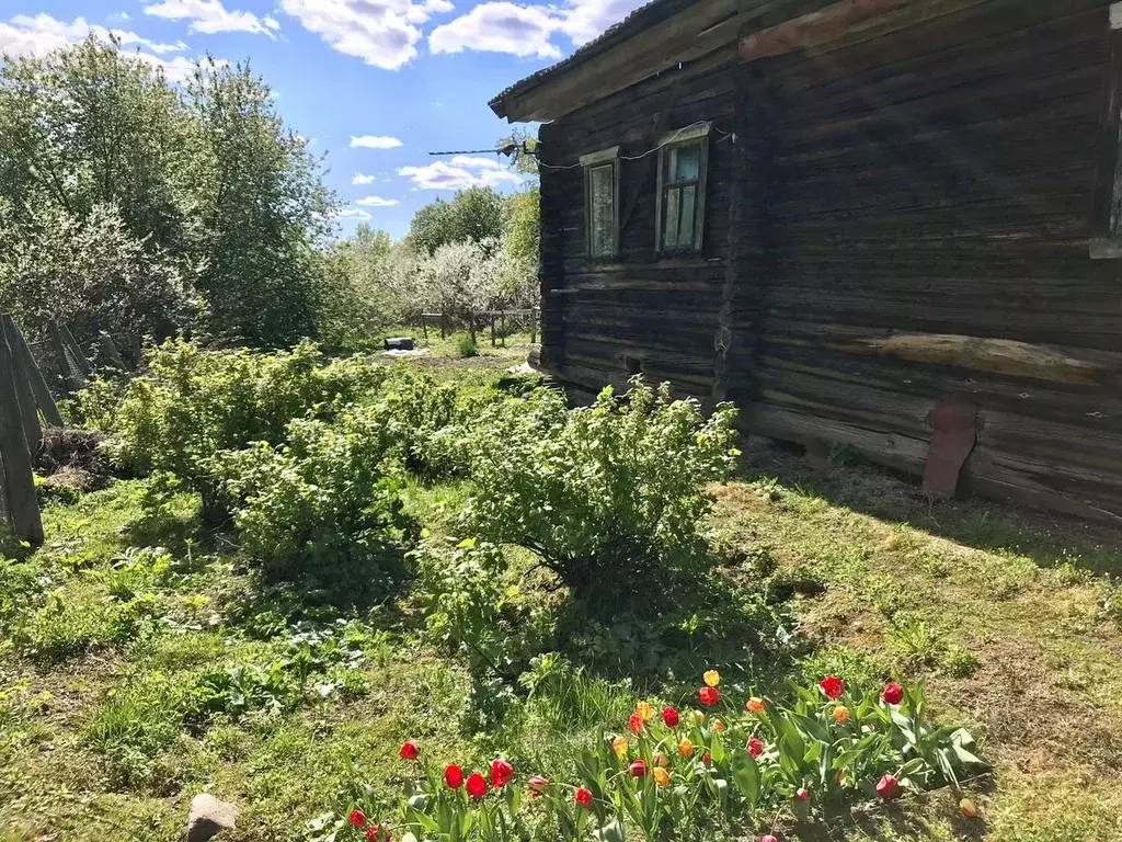 Дом в Владимирская область, Вязниковский район, Паустовское ... - Фото 0